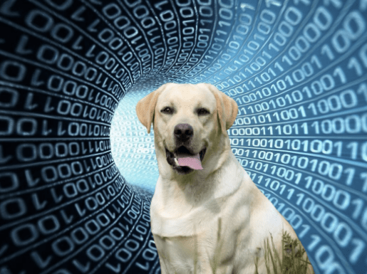 Подборка смешных мемов о SEO в 2021 году
Подборка смешных мемов о SEO в 2021 году