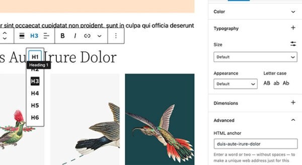 Что появится в WordPress 5.9: новый функционал, улучшения Что появится в WordPress 5.9: новый функционал, улучшения