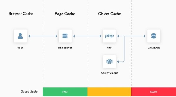 Кэширование в WordPress: виды, особенности функционирования и распространенные проблемы