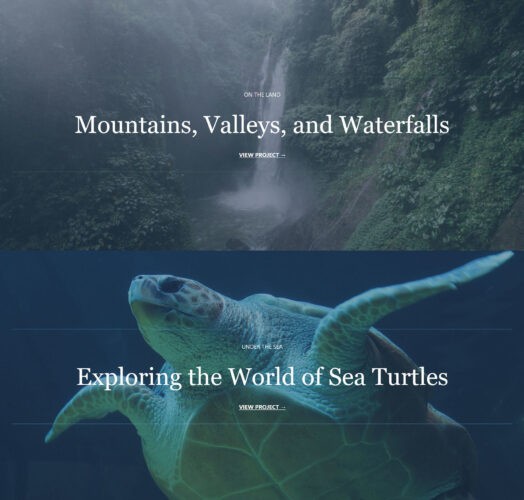 Появилась предварительная дорожная карта для WordPress 6.0