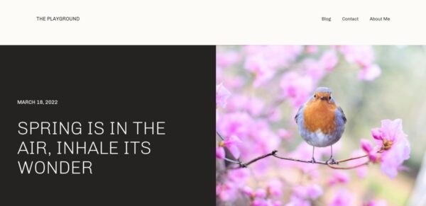 Archeo: свежая тема для WordPress, сочетающая в себе стилистику майя с журнальными паттернами