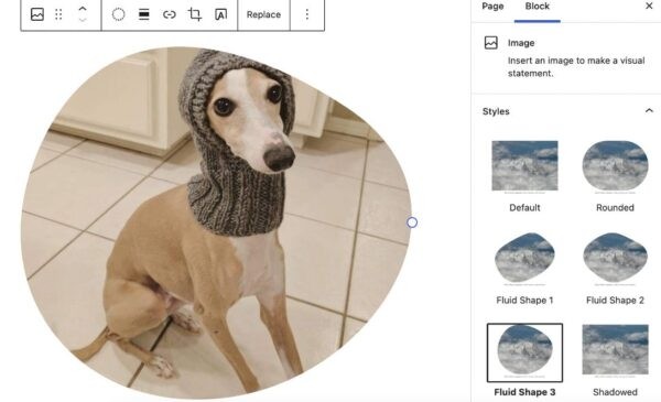 Snow Monkey Editor: плагин для добавления произвольных стилей к базовым блокам WordPress