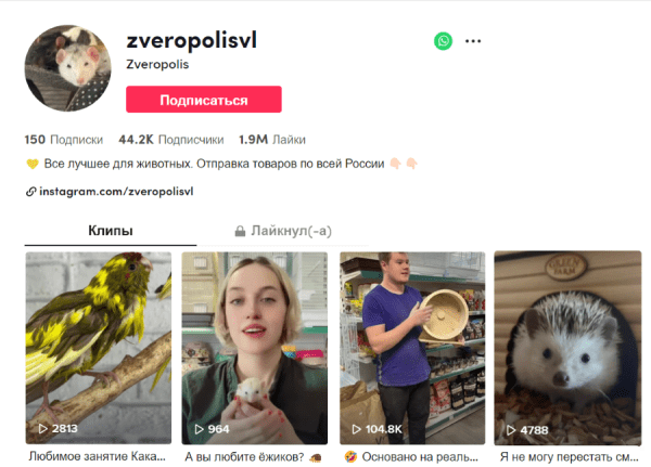 Реклама в TikTok: что платформа может предложить бизнесу