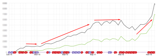 10 лет развития: от домена до сети клиник – ошибки, тактика, стратегия. Кейс продвижения сети ветеринарных клиник