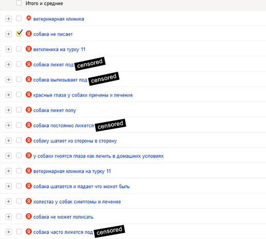 10 лет развития: от домена до сети клиник – ошибки, тактика, стратегия. Кейс продвижения сети ветеринарных клиник