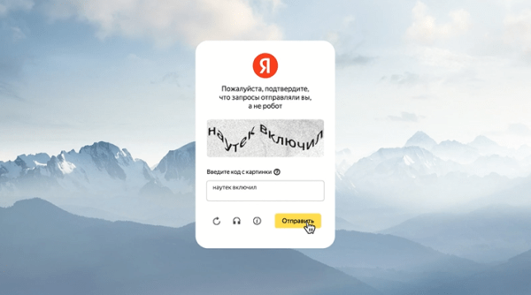 Яндекс открыл компаниям доступ к сервису для борьбы с ботами и спамом