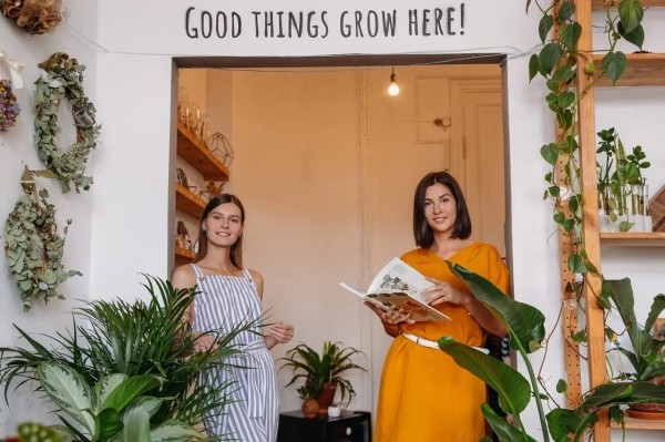 Выращиваем поисковый трафик на засушливой почве ограничений. Кейс зеленой студии The Plant