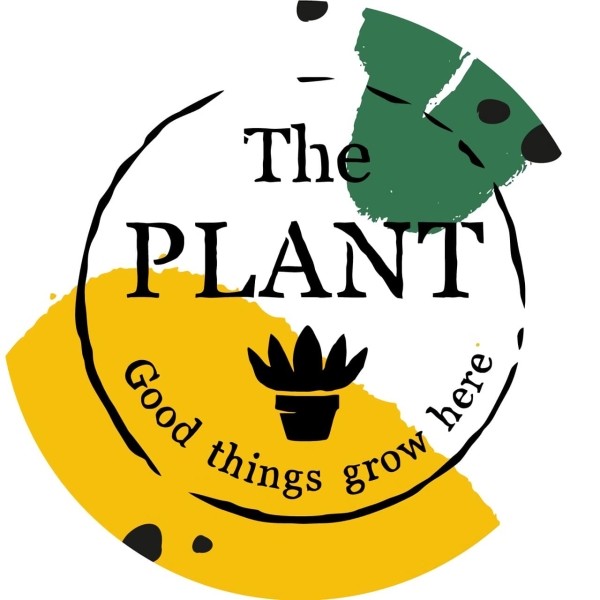 Выращиваем поисковый трафик на засушливой почве ограничений. Кейс зеленой студии The Plant