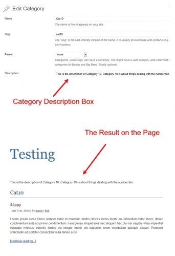 Как вывести описание к рубрикам в вашей теме WordPress Как вывести описание к рубрикам в вашей теме WordPress