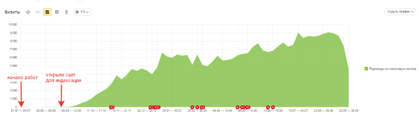 Как привлечь органический трафик на новый сайт магазина автомагнитол: 68% в Яндексе, 108 покупок через год