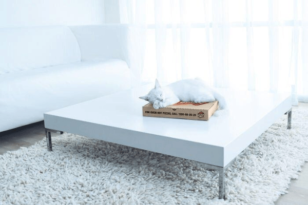 Как сделать привлекательный креатив в таргетированной рекламе: советы и примеры