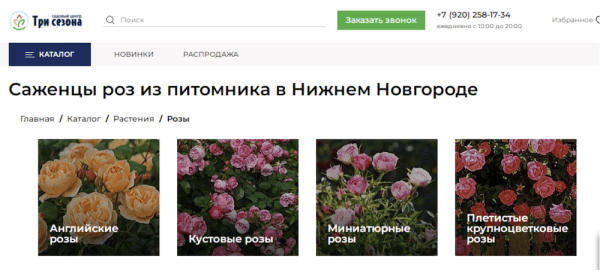 
            Трафик по осени считают. Как продвигать сезонные товары, чтобы помочь продажам
        