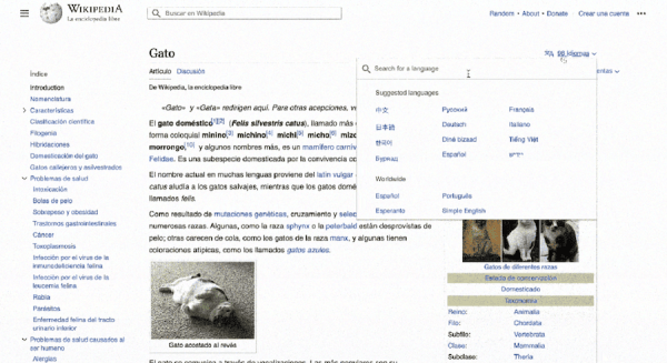 
            Википедия обновила интерфейс
        