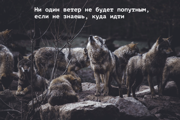 Как легко внедрить CRM-систему в рабочие процессы Как легко внедрить CRM-систему в рабочие процессы