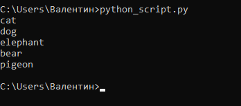 Циклы Python: объясняем для начинающих и детей