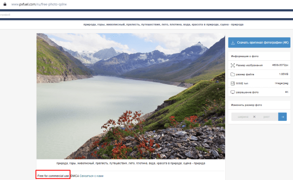 Между твоим бизнесом и банкротством – одна картинка Между твоим бизнесом и банкротством – одна картинка