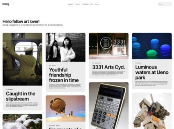 ElmaStudio выпустила Moog: бесплатную WordPress-тему для блогов