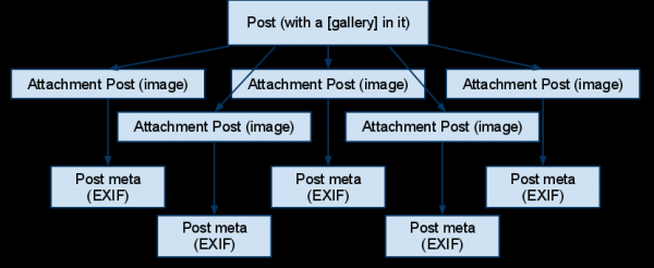 Фотогалерея в подробностях