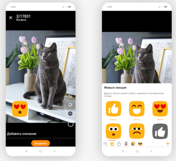 
            В Одноклассниках появились «живые» реакции на фото
        